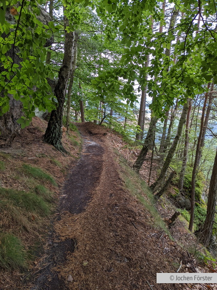 PXL_20220709_072236481.jpg